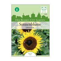 Blumensamen Sonnenblume 'Choco Sun'